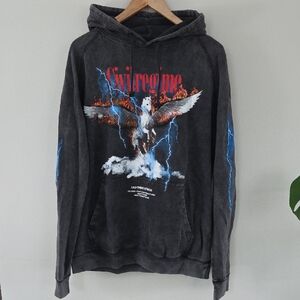 PacSun Charcoal Graphic Hoodie